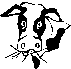 Cow.gif (1302 bytes)